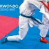 Taekwondo Flooring Mat SP2100(25mm)5S / SP2100(25mm)CRS Malaysia 3